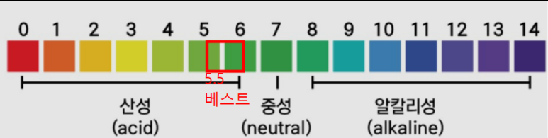 머리까까오 이미지