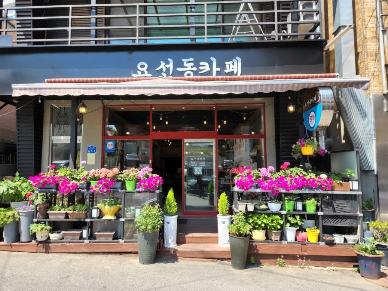 요선동카페 이미지