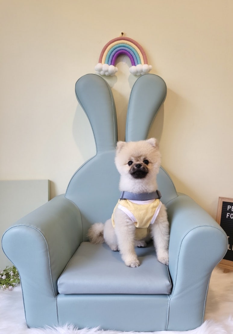 이마루 이미지