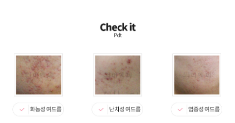 피디티 이미지