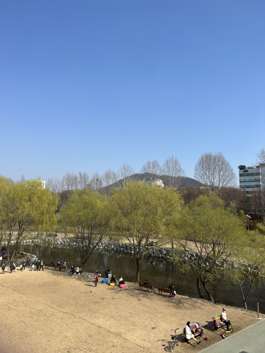 미우야 이미지
