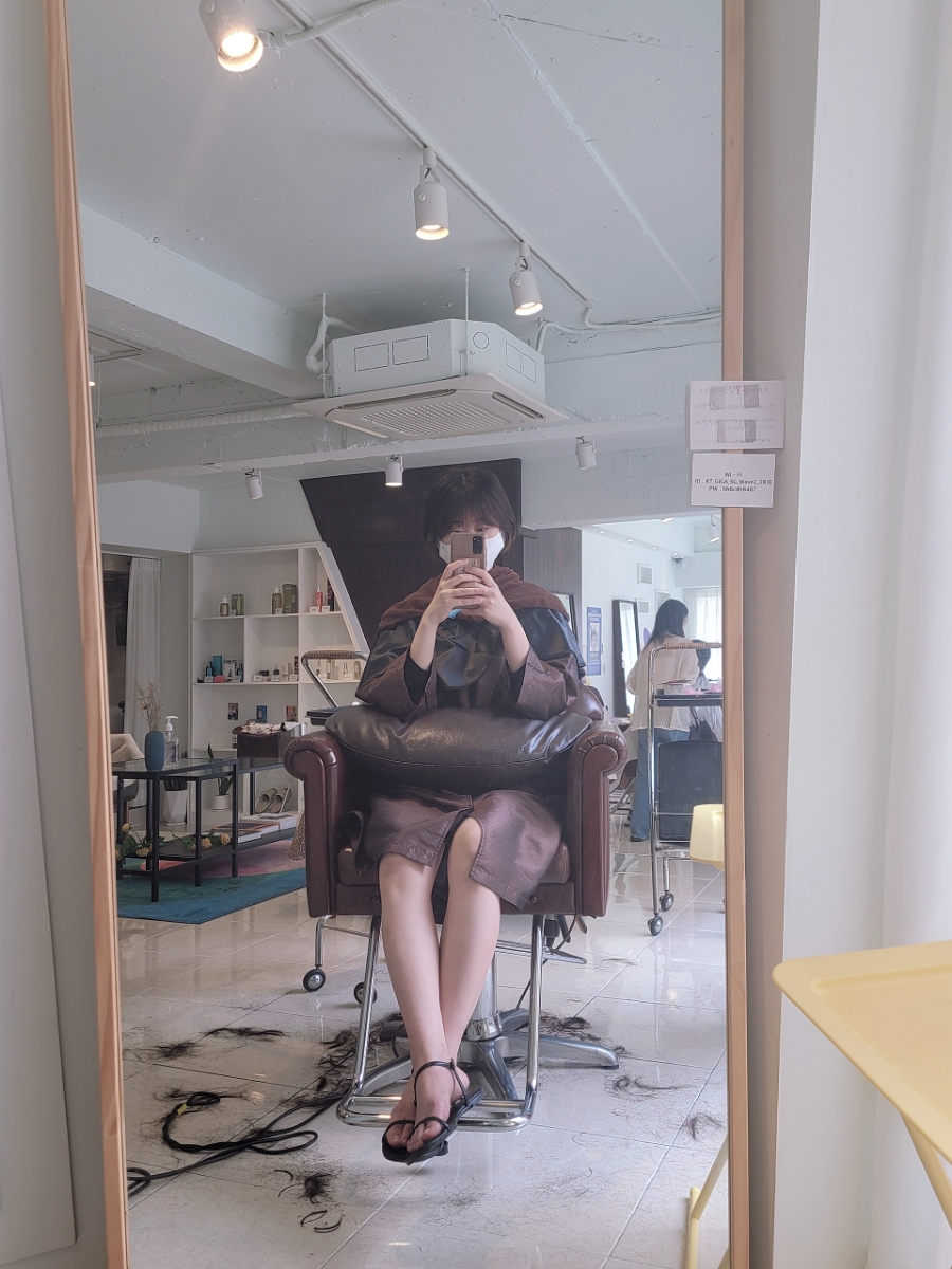 살롱드 비인 이미지