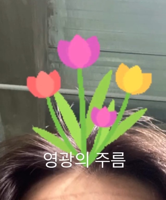 달성장 이미지