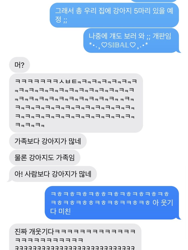 지오소피 이미지
