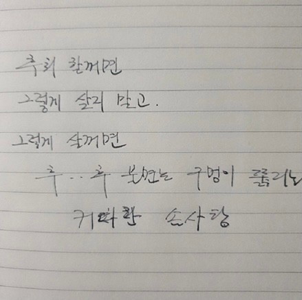 플레지르 이미지