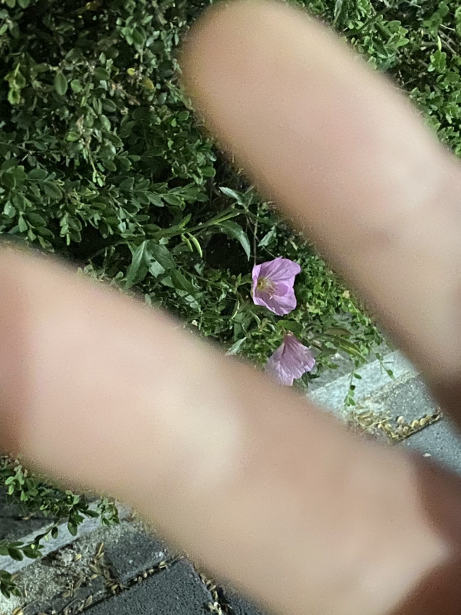 씨유전주중화산센터점 이미지