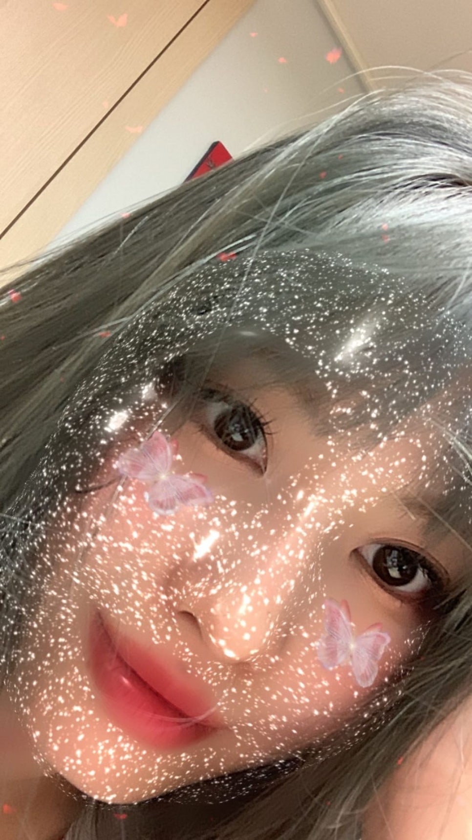 모모그린 이미지