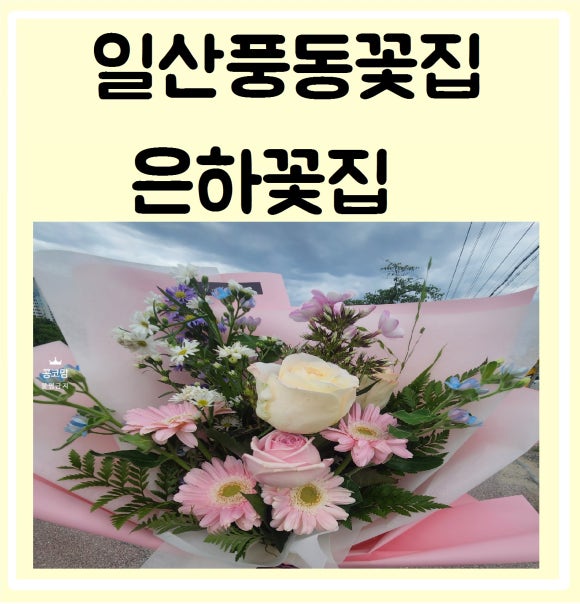은하꽃집 이미지