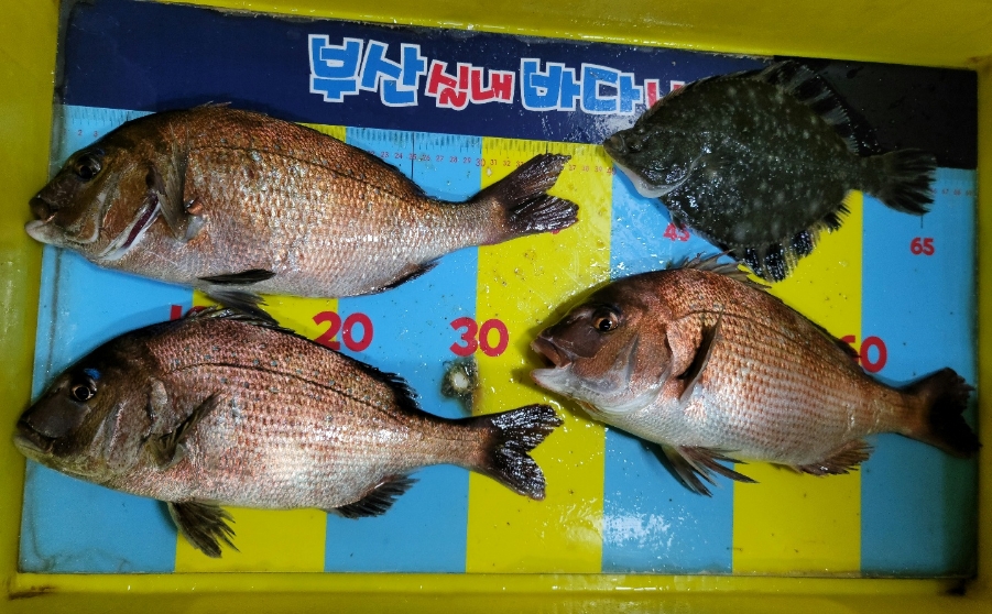 부산실내바다낚시터 이미지