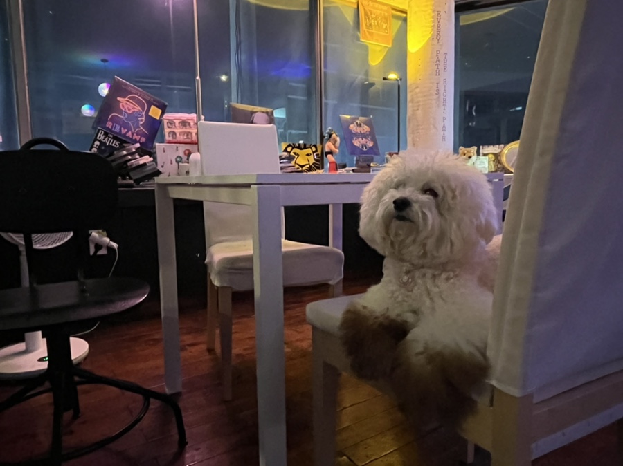 인마이플레이스(IN MY PLACE) 이미지
