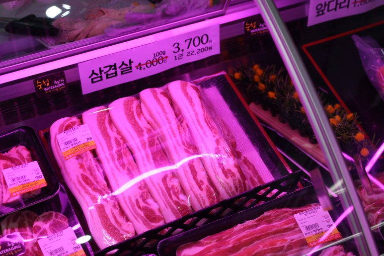 흑돈지기 이미지