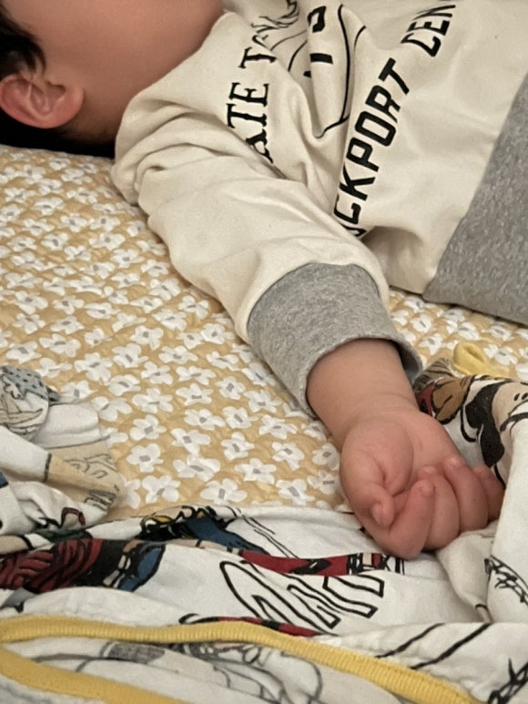 베베룻 이미지