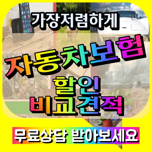 다이렉트차보험 법인자동차보험가입 차량단기보험 다이렉트자동차보험료계산 석관동 당진 : 네이버 블로그