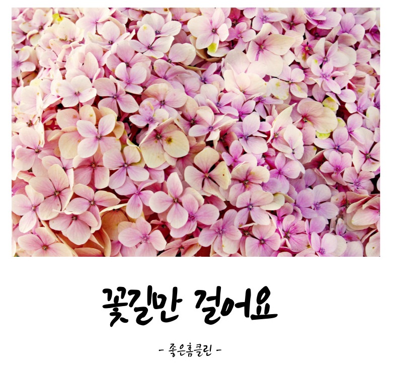 파라곤클리닝 이미지