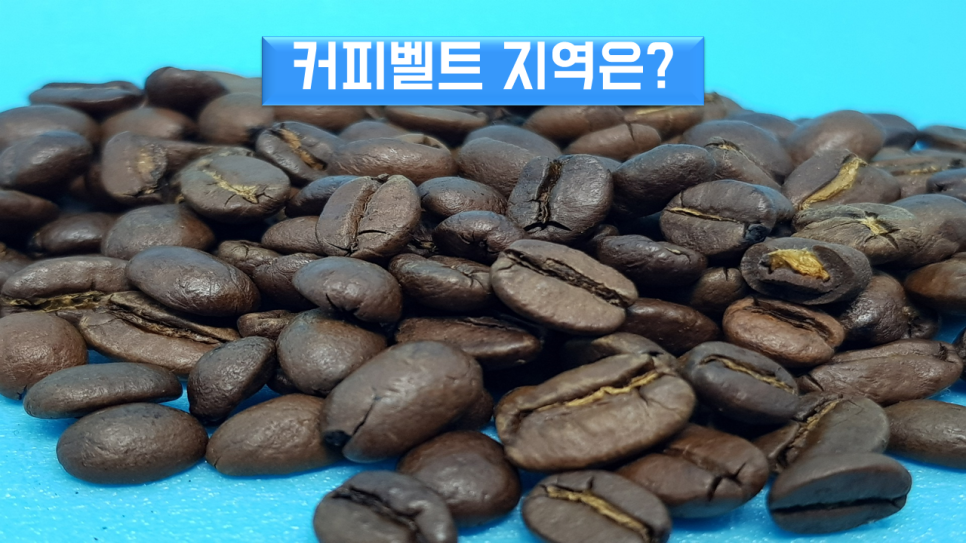커피벨트 이미지
