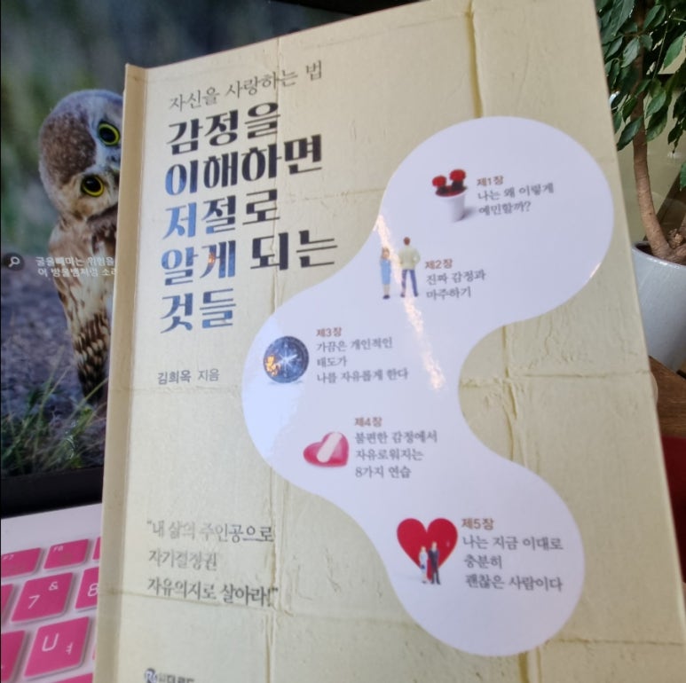 국민정서행복콘텐츠연구소 이미지