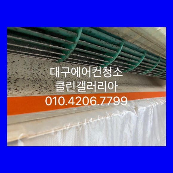 클린갤러리아 이미지