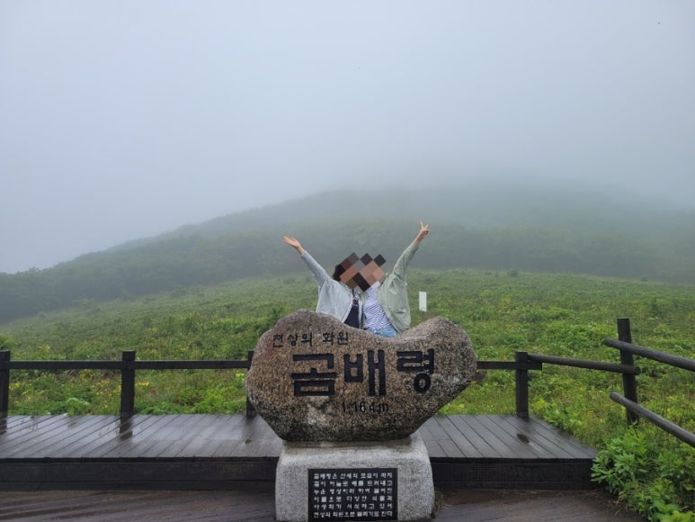 곰배령칼국수 이미지