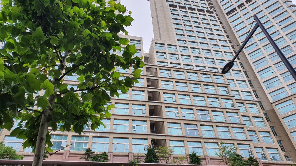 파라곤클리닝 이미지