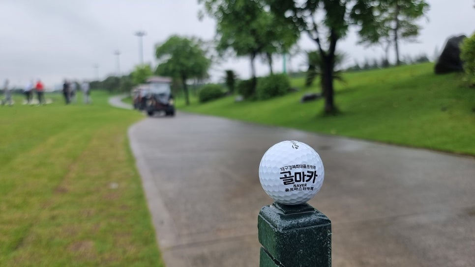 골마카투어 이미지