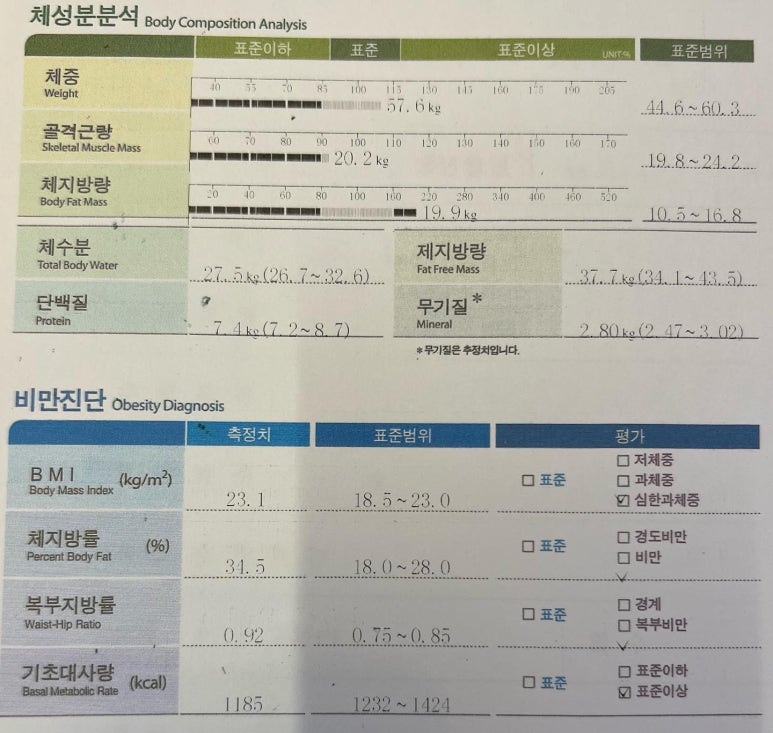 시크릿피티스튜디오 이미지