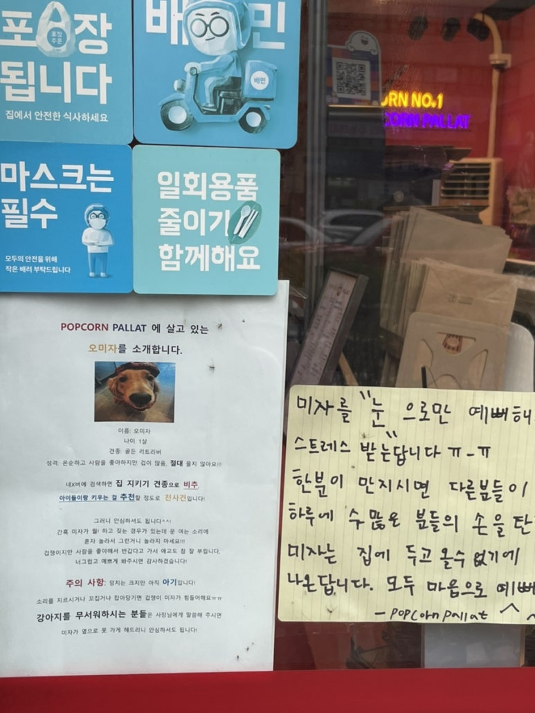 팝콘팔라트 이미지