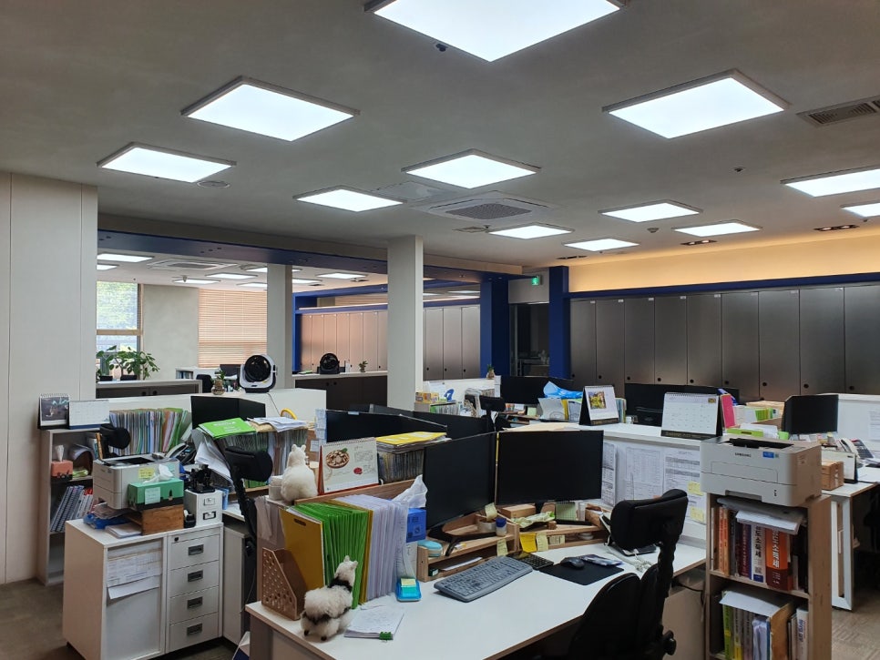 고려세무법인 이미지