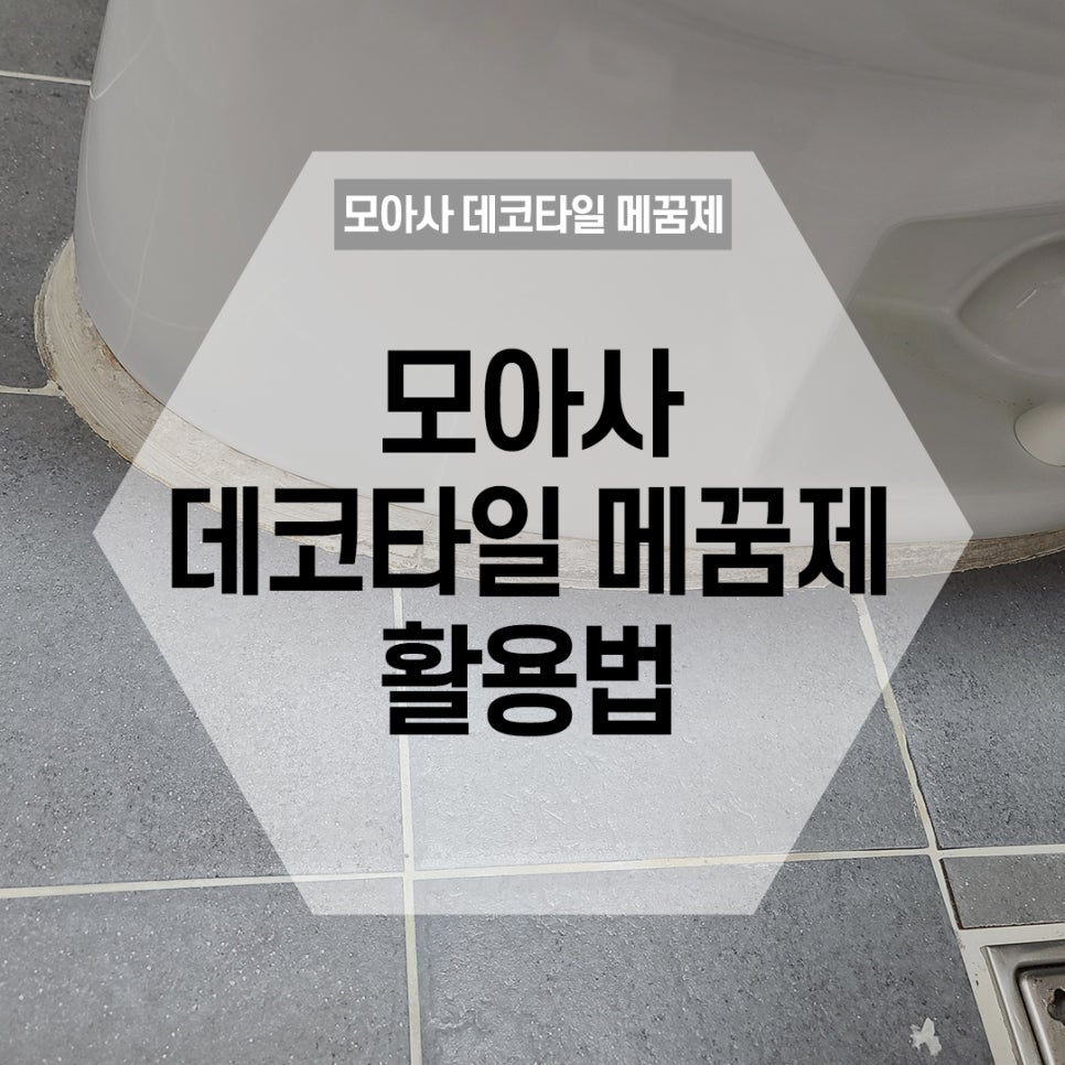 모아사 이미지