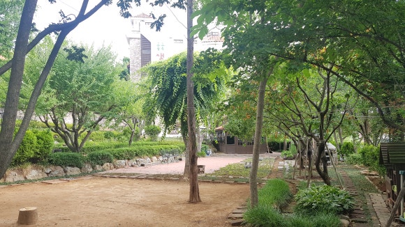 비온후 이미지