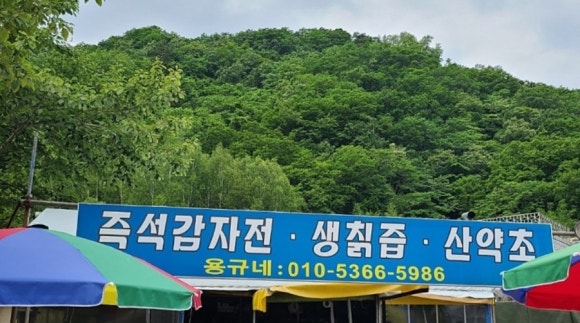 용규네 이미지