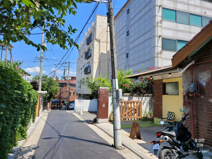 준헤어라인 이미지