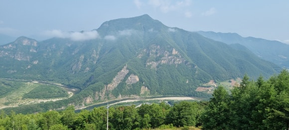 동강백운산토종된장 이미지