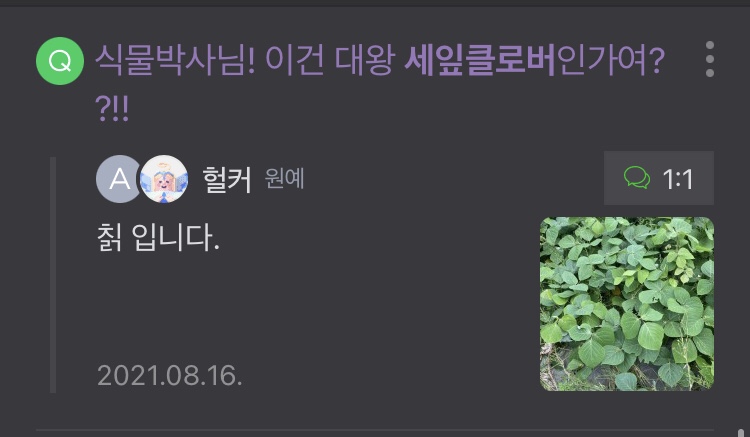 아까세 이미지
