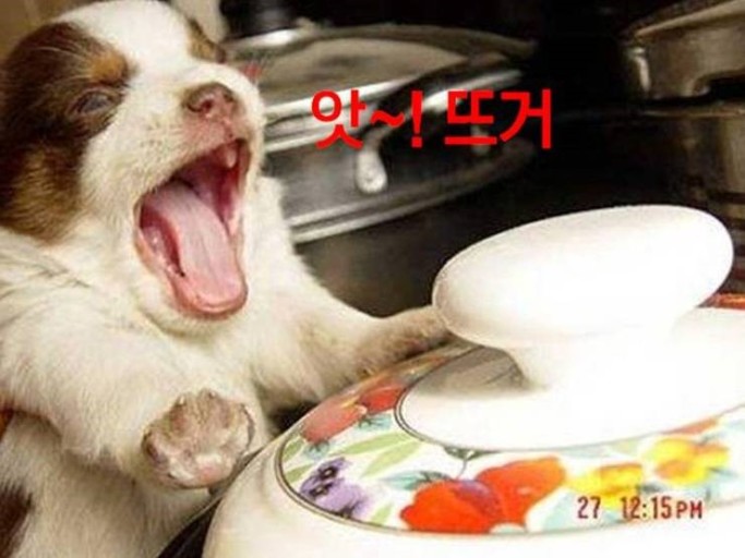 신호닭발 이미지