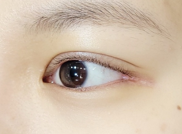 눈썹쟁이 이미지