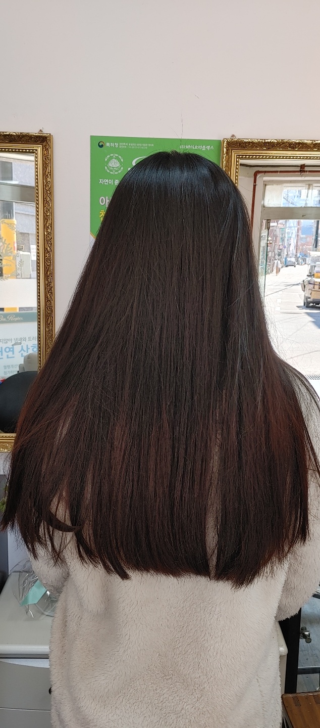 바이오리플렉스 이미지