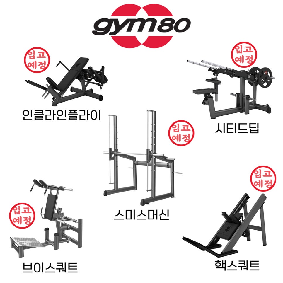더짐피트니스 이미지