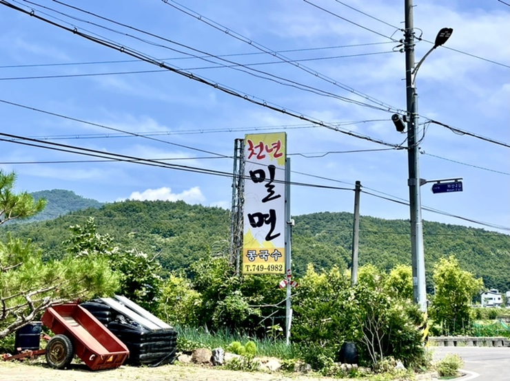 천년밀면 이미지
