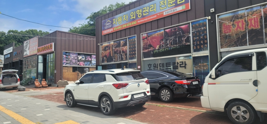 호원덴트칼라 이미지