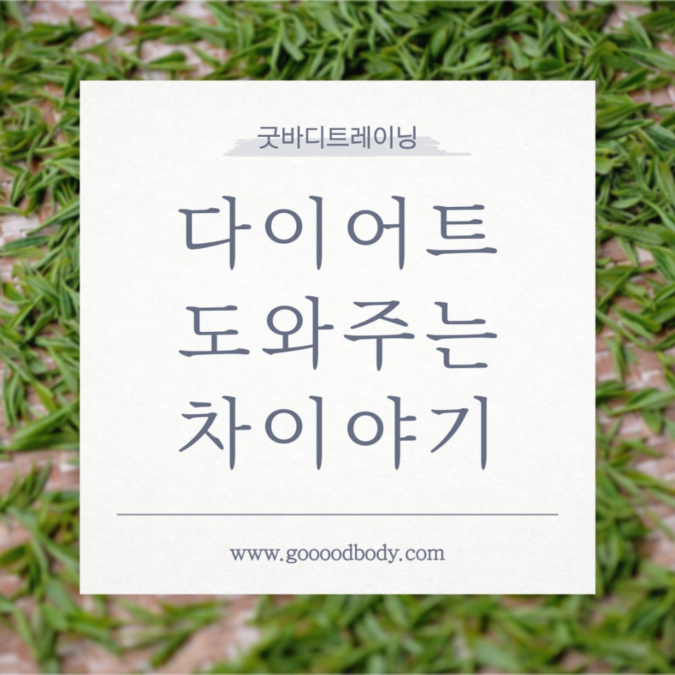 굿바디트레이닝 이미지