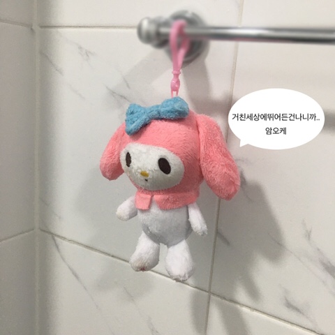 스시투어 이미지