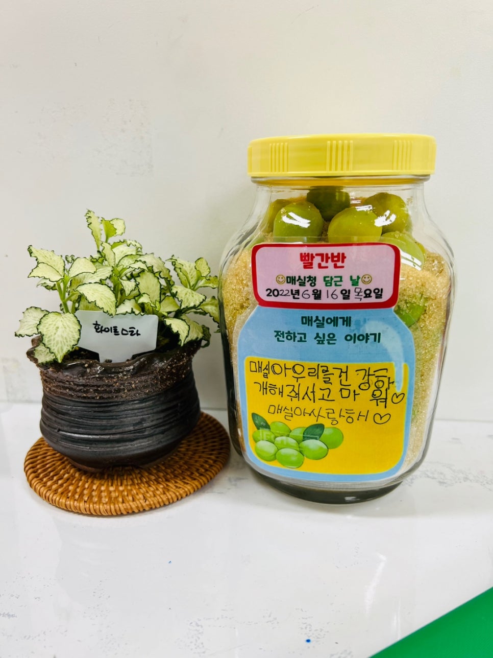 효성유치원 이미지