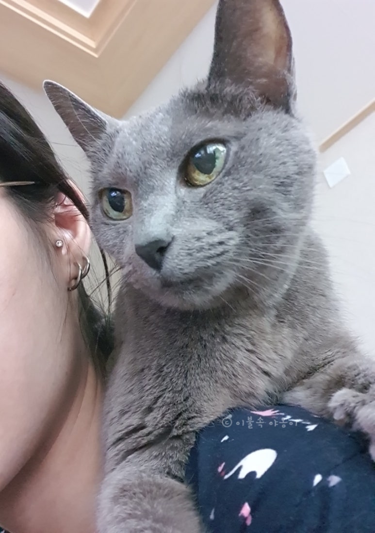 달님네일 이미지