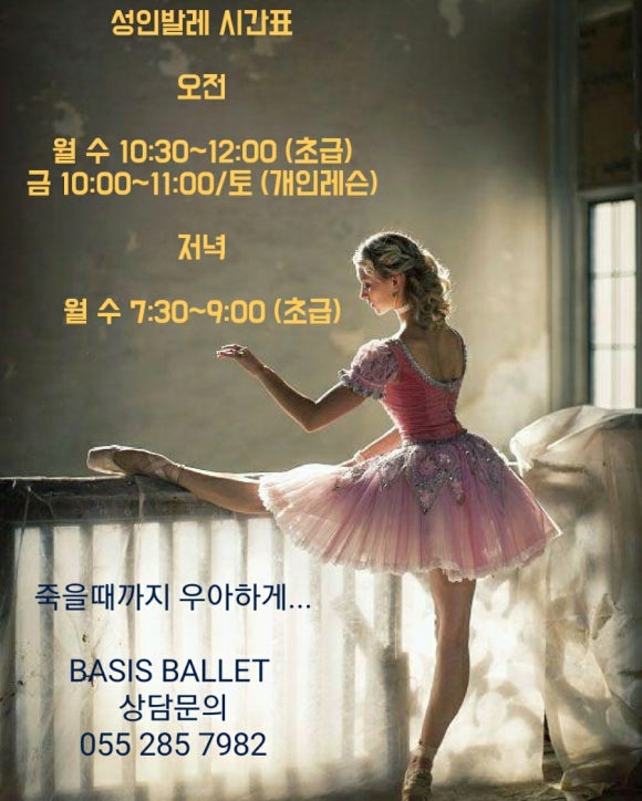 베이시스발레학원 이미지
