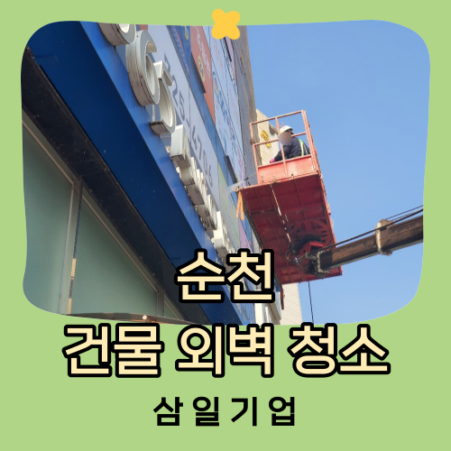삼일용역 이미지