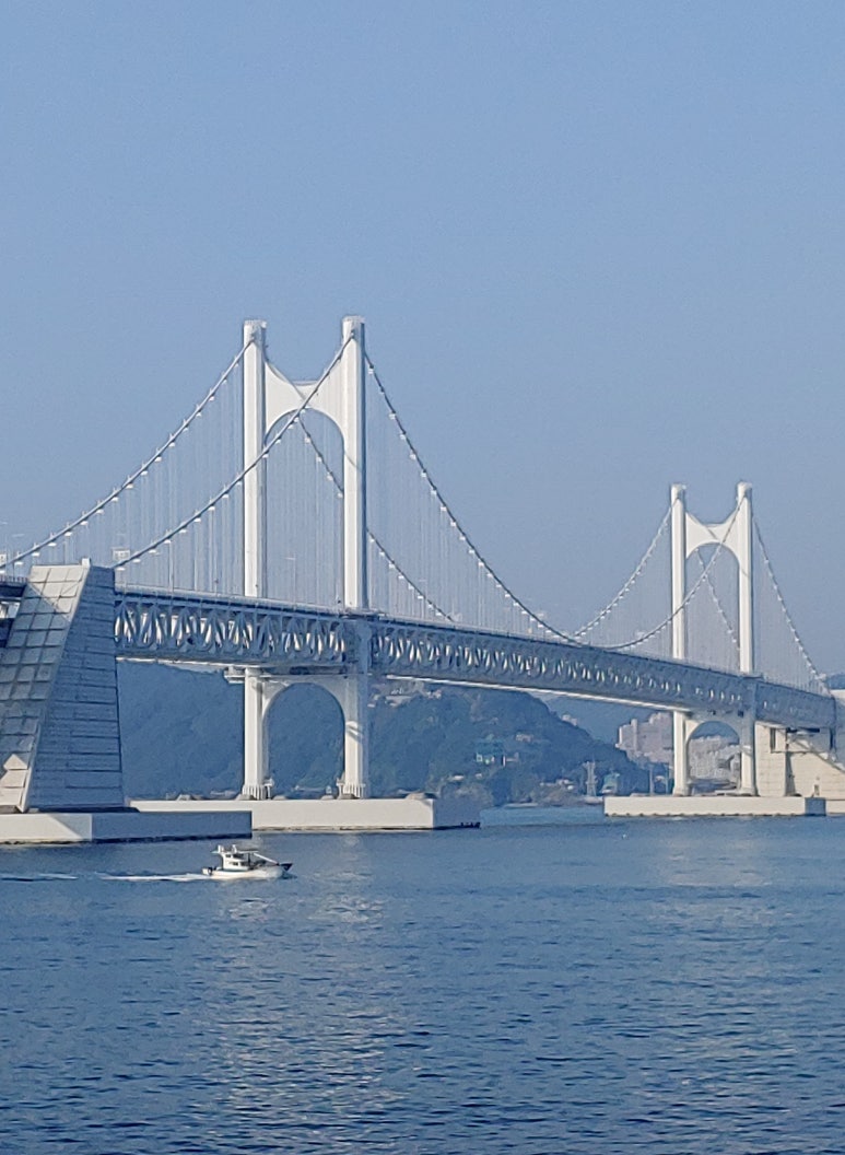 정필자리폼샵 이미지
