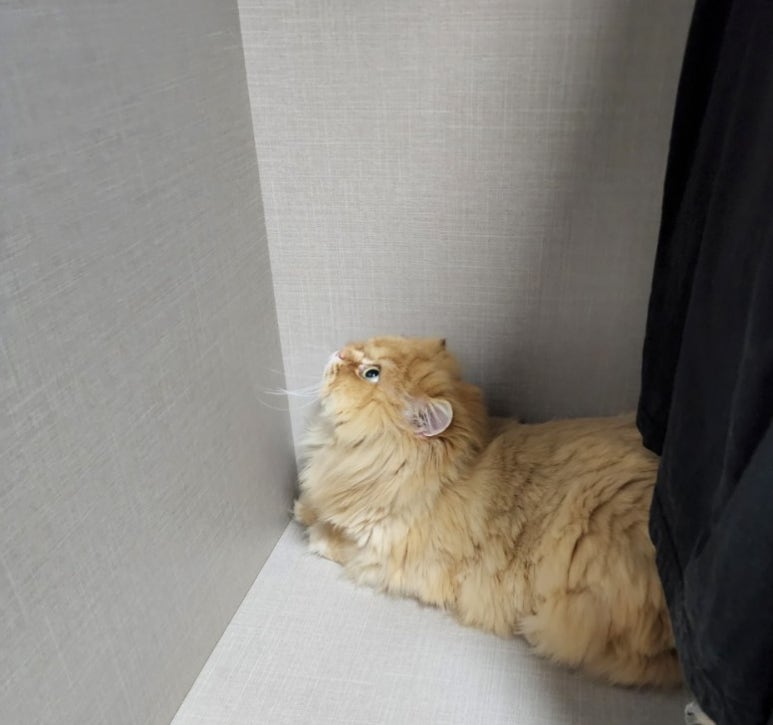 성명미용실 이미지