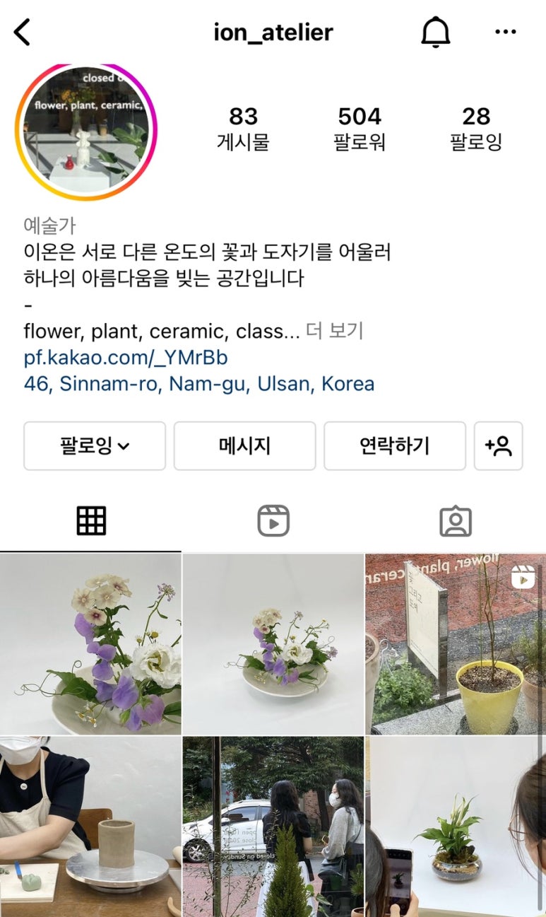 이온플라워 이미지