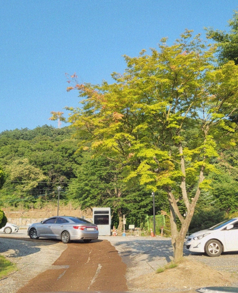 오드리락 이미지