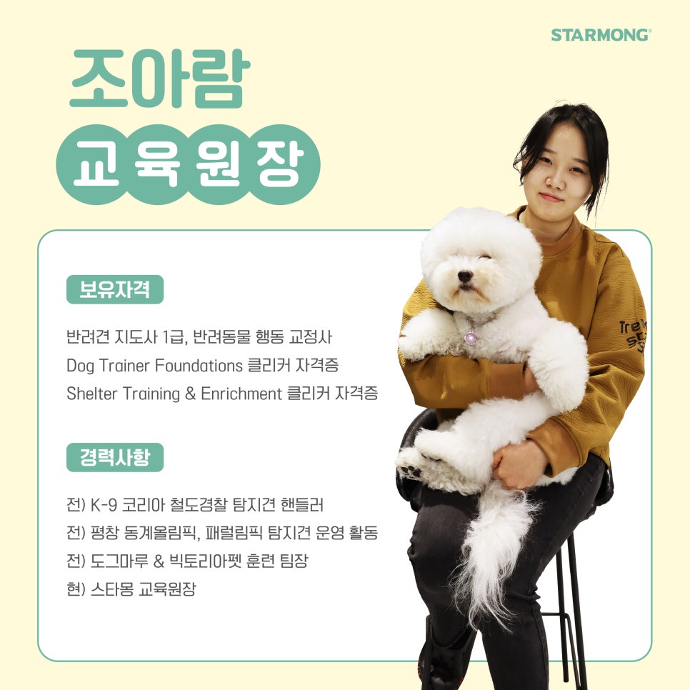 서초 스타몽 강아지 방문훈련, 퇴근 후 교육 가능 — 사진 3
